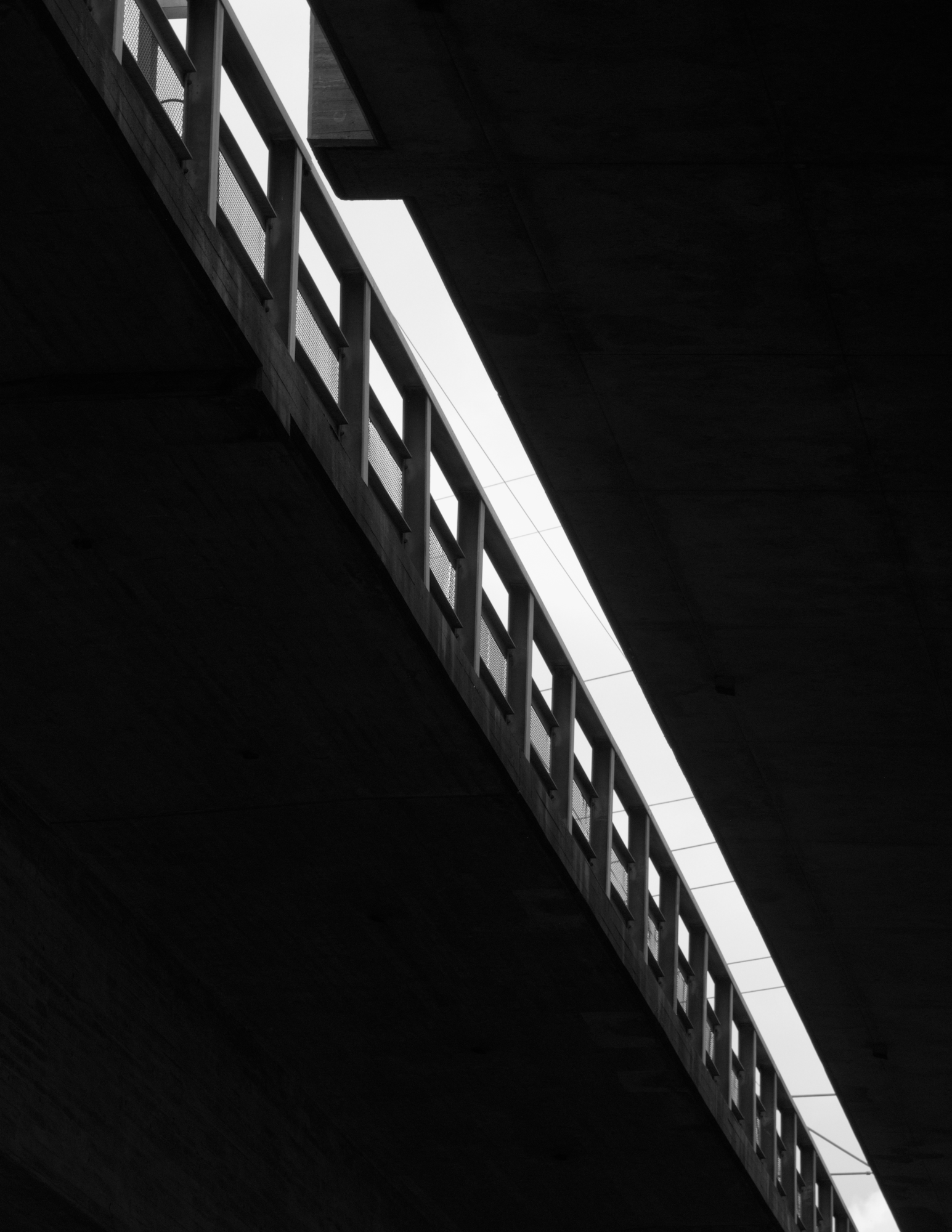 DSC_0049_01